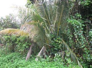 Palani St LOT 22, Pahoa, HI 96778