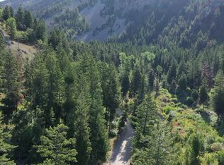 Cedar Dr, Thayne, WY 83127