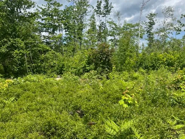 M4L20 Hardwood Ridge Road, Deblois, ME 04622