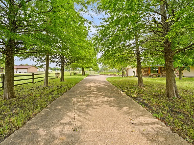 11 Austin Cors — Photo 18