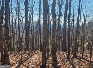 0 Ivy Mountain Rd, Clarkesville, GA 30523