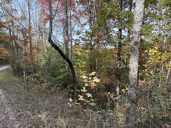 2nd image of 11 Echo Point Rd