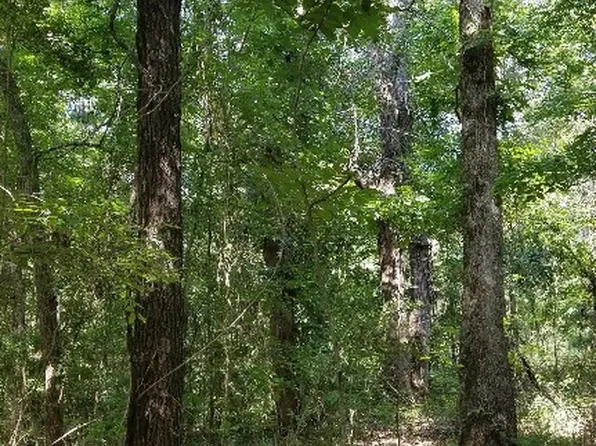 County Road 364 S, Henderson, TX 75654