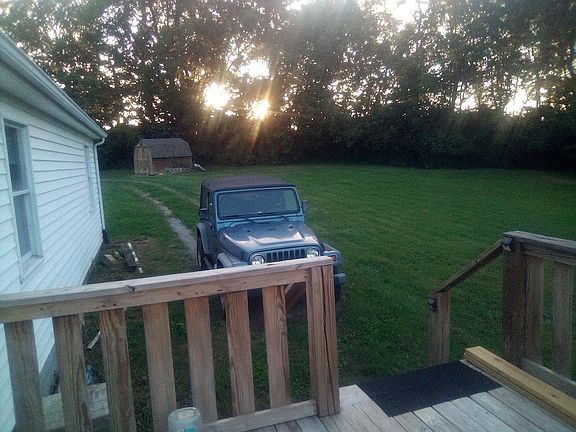 back left corner of yard