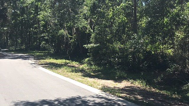 2nd image of 20 Palm Bluff Dr