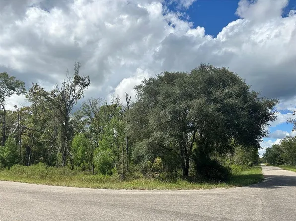 Fisher Lane Trak Lot 10, Ocklawaha, FL 32179