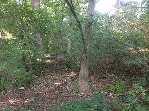 5th image of Halma Ln Lot 35