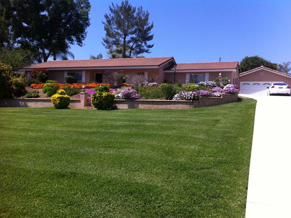 House View