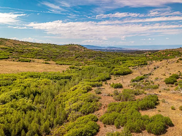 18495 Currant Creek Rd, Cedaredge, CO 81413