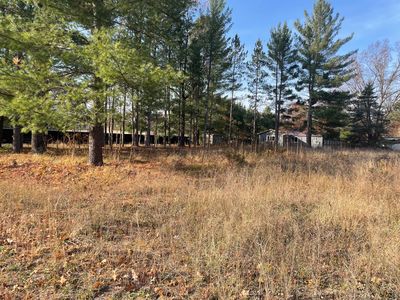 Spring St, Wellston, MI, 49689