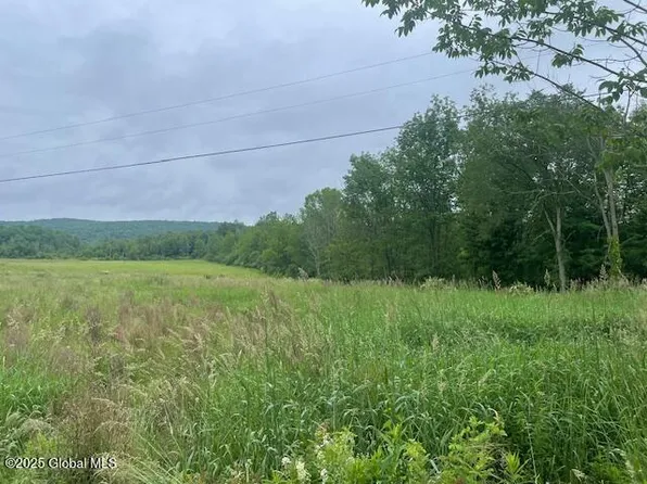 351 Hunt Road, Buskirk, NY 12028