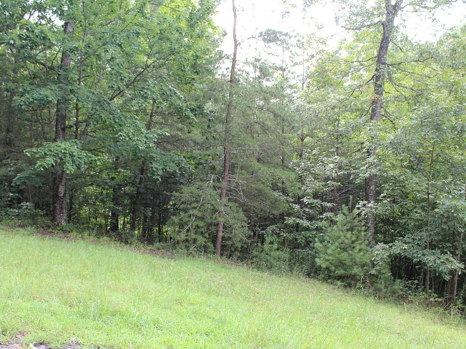 2nd image of LOT 12 Downings Pl