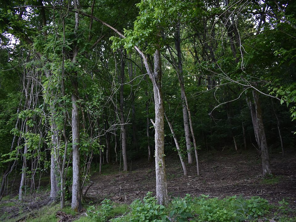 2nd image of 0 Turkey Creek Hwy Lot 3