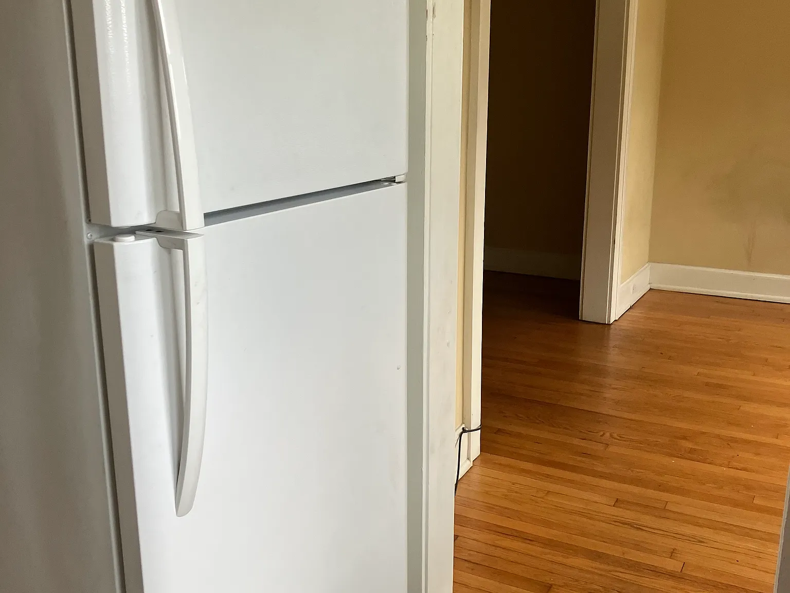 1 bed, 900 sqft, $850 — Photo 2