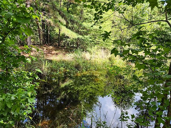 4th image of 216 Private Road 6046