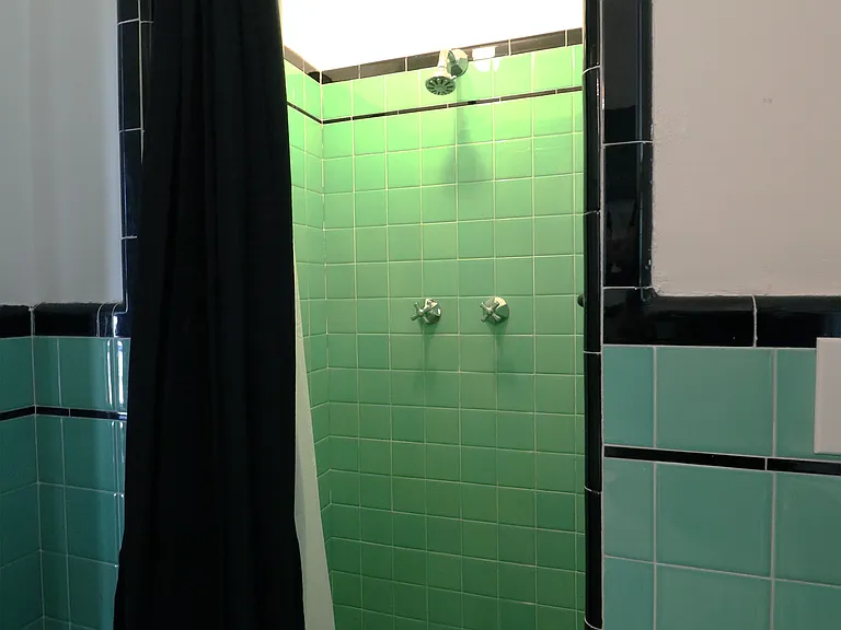 Bathroom 2 shower