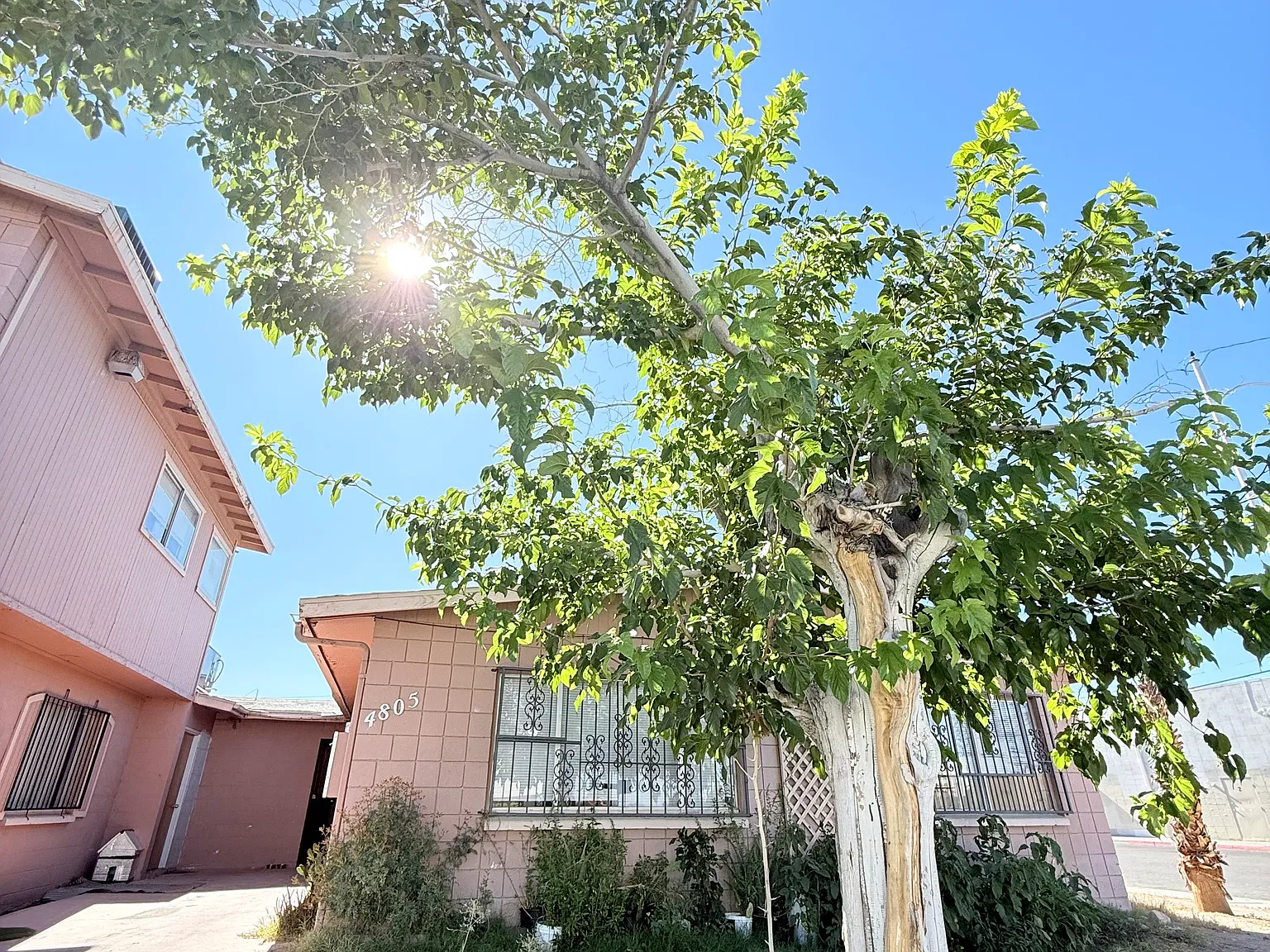 2 bed, 918 sqft, $1,380 — Photo 3