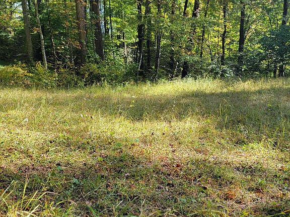 3rd image of Tbd Whitehead Hollow Rd