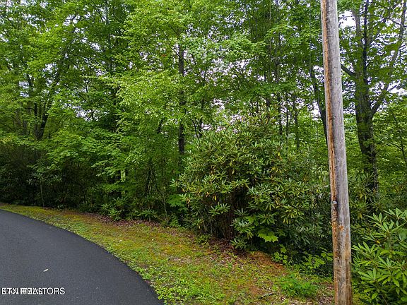 2nd image of Black Gum Gap Rd