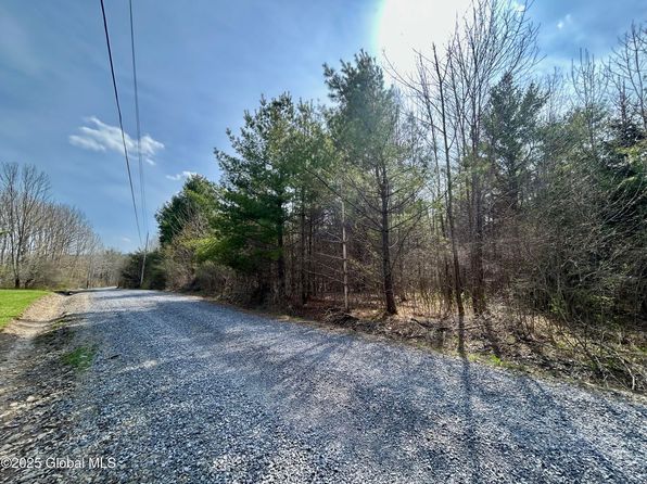 L44 Lynx Drive, Richmondville, NY 12194