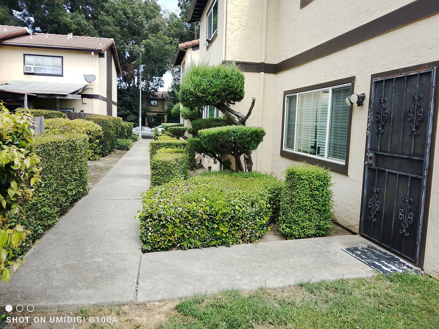 Chestnut St, Gilroy — Photo 1
