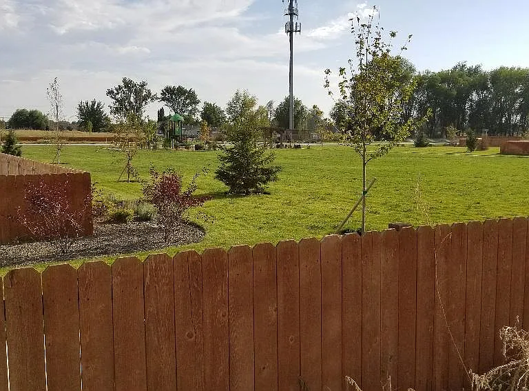 View from back yard.