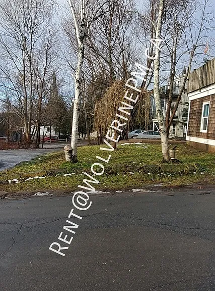 47 Denoon St #2 — Photo 17