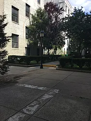 Rented by Manhattan Flats