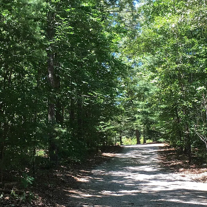Crestview Loop, Crossville — Photo 2