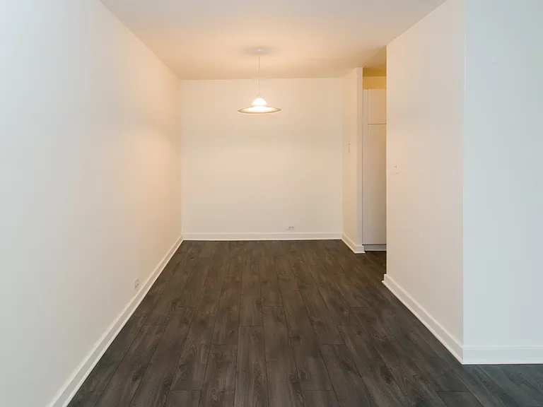 Dining/Living room