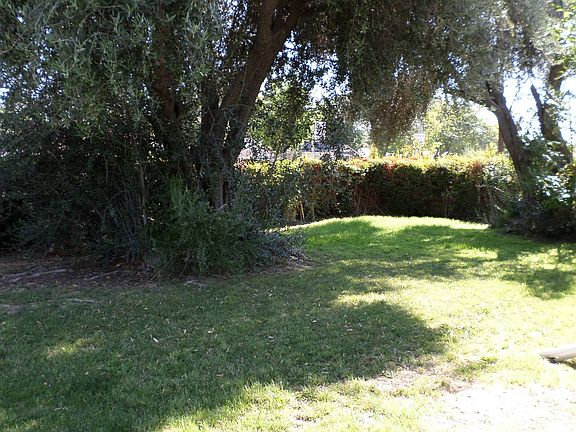 Front yard