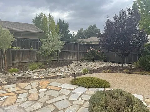 Back yard