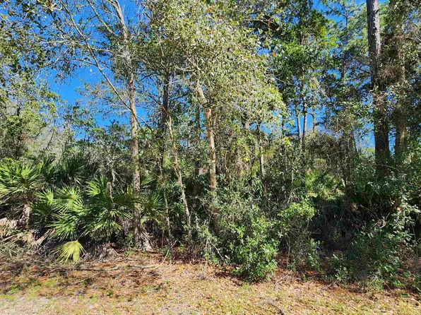 0 Mourning Dove Rd, Satsuma, FL 32189