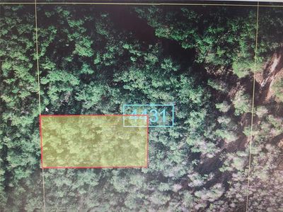 Holopaw Groves Rd, Saint Cloud, FL, 34771
