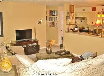 Plush carpet in the Living Room