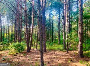 0 Pedenville Rd, Concord, GA 30206