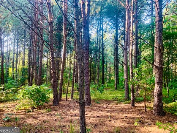 0 Pedenville Rd, Concord, GA 30206