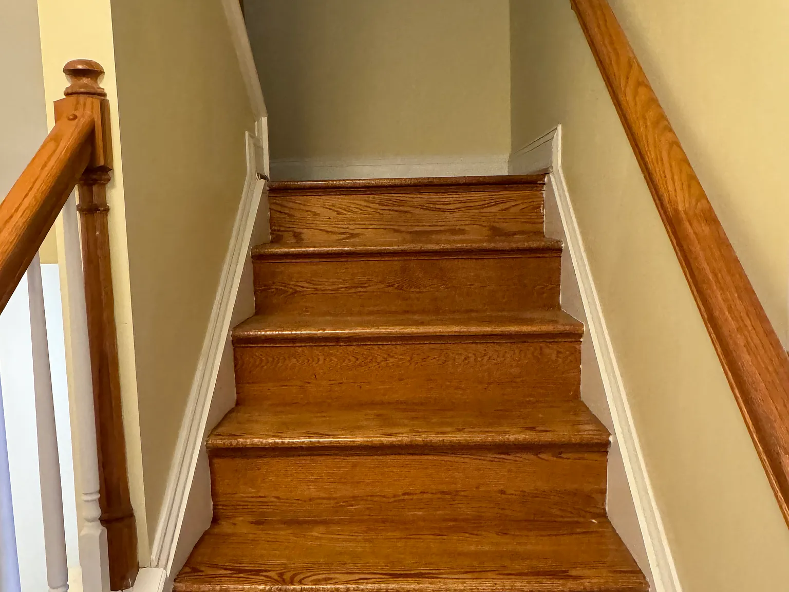 1 bed, 385 sqft, $850 — Photo 3