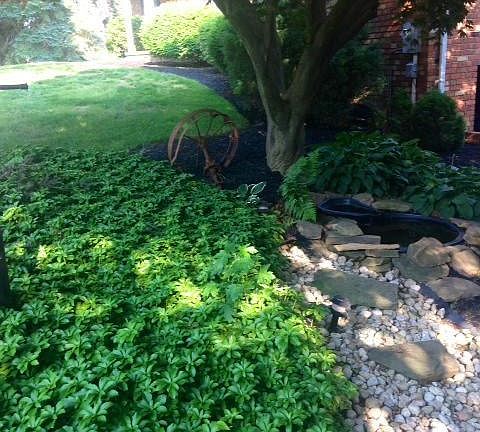 Professionally landscaping