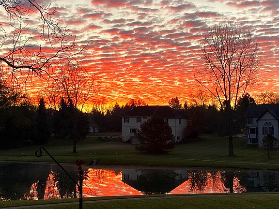 View from deck of pond