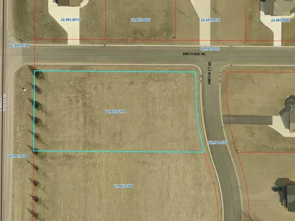 919 Amelia Ct NE, Montgomery, MN 56069