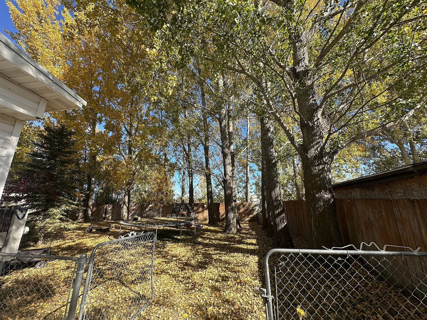 Cute 3 Bed, 2 Bath Home in Hibbard - 728 Sq Ft Shop Included! — Photo 3