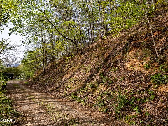 4th image of 240 Mount Luke Rd Lot 2-3