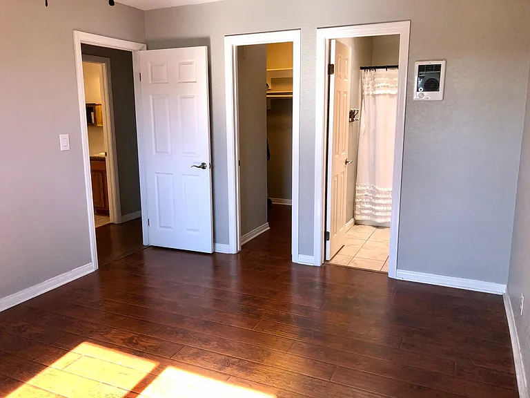 Master bedroom has walk-in closet