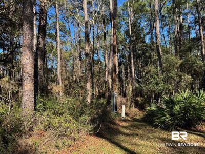 1106 Narbonne Pl, Dauphin Island, AL, 36528