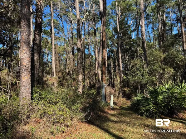 1106 Narbonne Pl, Dauphin Island, AL 36528