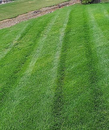2nd image of 447 Cabernet Dr