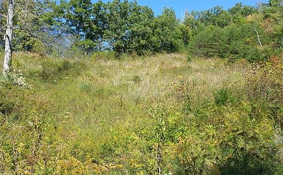 3rd image of 130 Farm Valley Ct