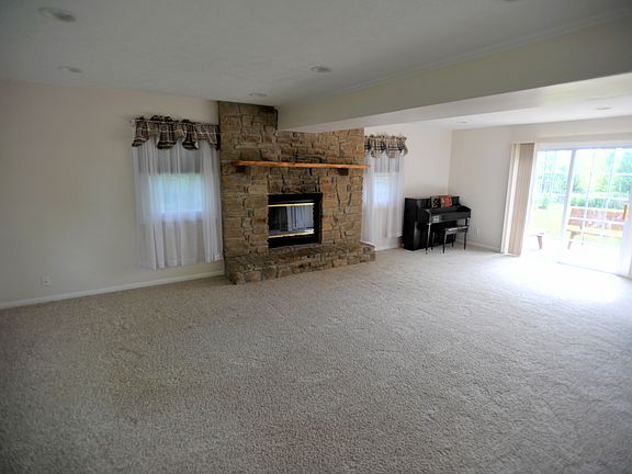 Wood Burning Fireplace