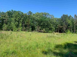 Fm 251, Bivins, TX 75555